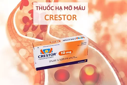 Hướng dẫn sử dụng thuốc hạ mỡ máu Crestor và lưu ý cần biết